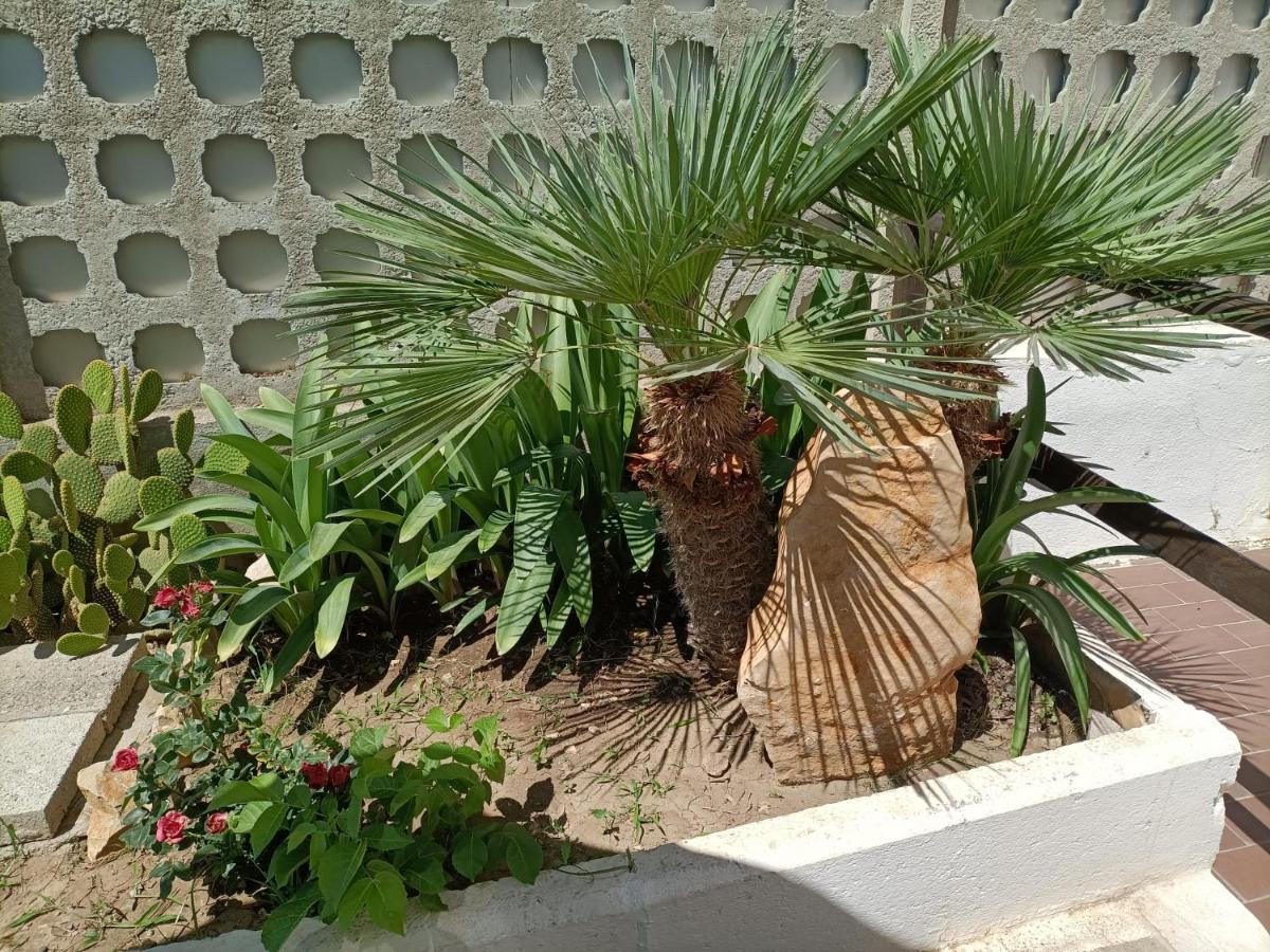 Mony'S Island B&B Alghero Exterior foto